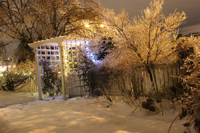 Blog Photo - Icy Winter evening