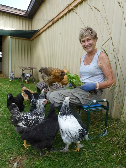 Blog Photo - Val and Chickens