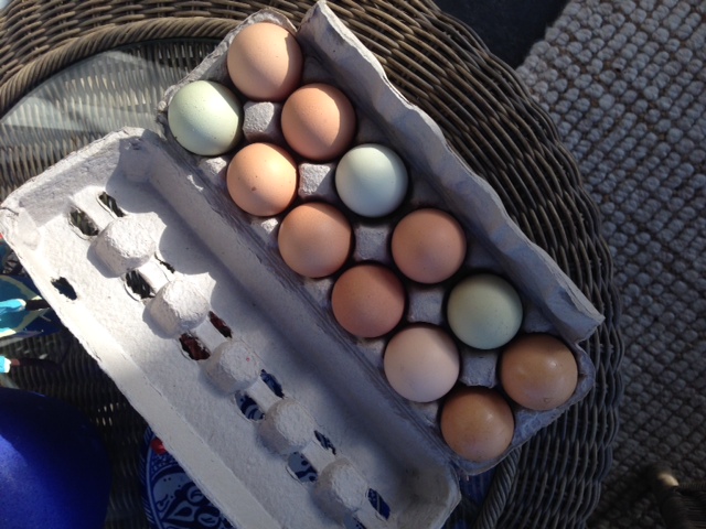 Blog Photo - Val Rainbow eggs