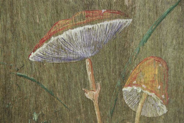 Blog Photo - Rabbit Painting Mushrooms2