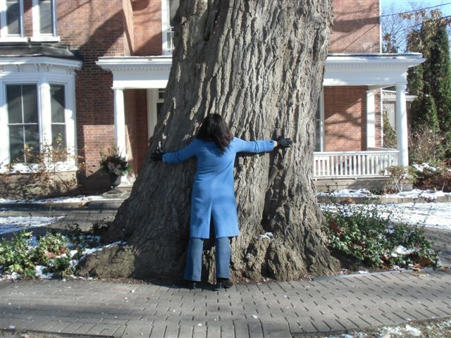 Blog Photo - Trees Woman hugs tree