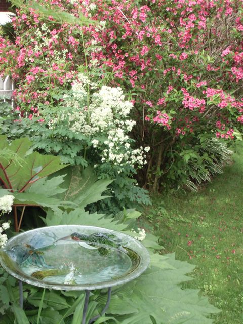 Blog Photo - Garden birdbath and blooms