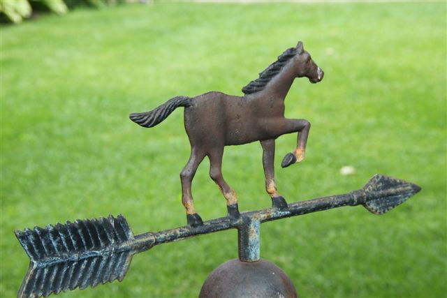 Blog Photo - Garden Horse