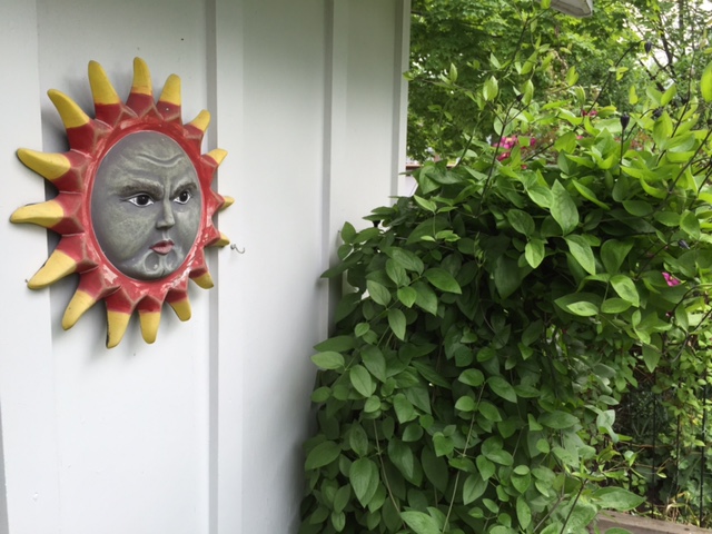 Blog Photo - Garden Sun face