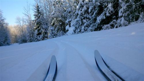 Blog Photo - New Year's Poem Skiis on Snow with Trees