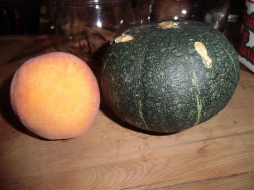 Pumpkin photo of our tiny pumpkin and peach