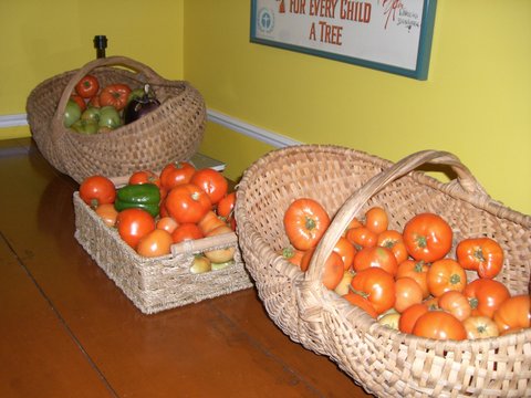 Blog Photo - Garden harvest baskets with toamtoes peppers eggplants on table