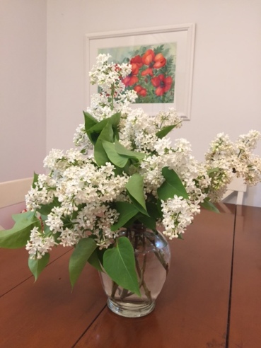 Blog Photo - Garden White Lilac Flowers in Vase