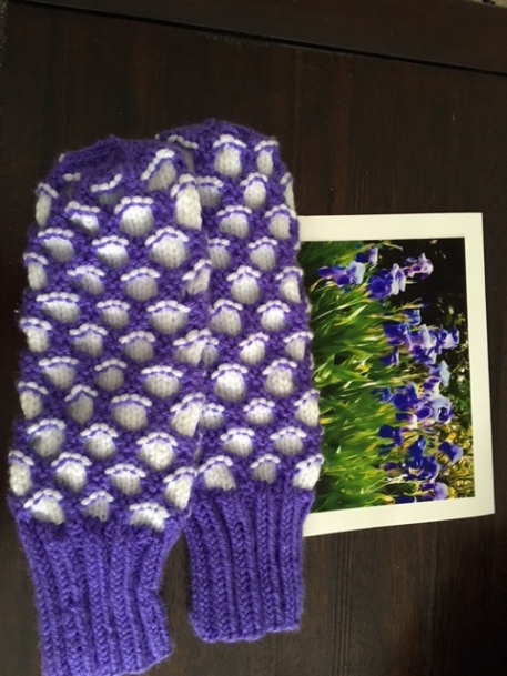 Blog Photo - Purple Iris and Gloves
