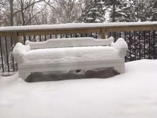 Blog Photo - Snow on bench 2