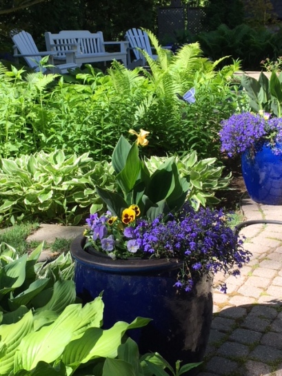 Blog Photo - Garden Blue pots CU