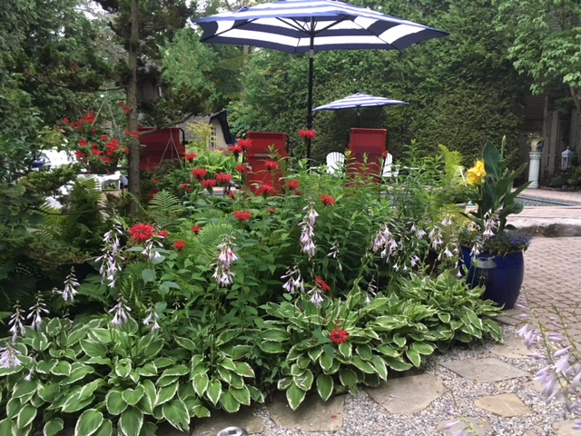 Blog Photo - Garden and open umbrella and plants