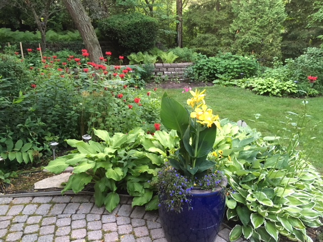 Blog Photo - Garden - Beautiful long shot to wall