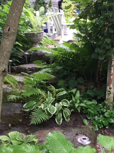 Blog Photo - Garden Hosta and Chairs seen from path