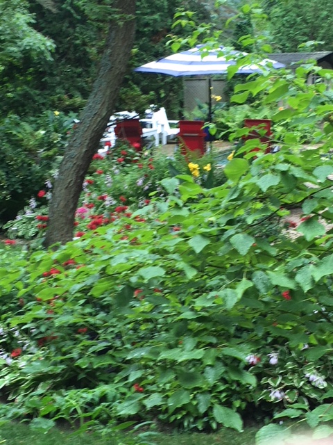 Blog Photo - Garden Leaning tree and umbrella and blooms