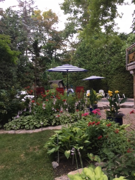 Blog Photo - Garden Longshot with open umbrellas