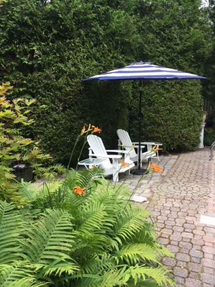 Blog Photo - Garden umbrella and chairs from other side of pool