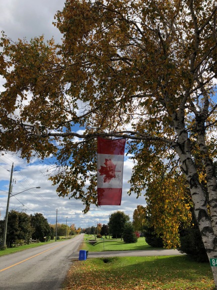 Blog Photo - Bowmanville Fall Drive Road and tree and Flag