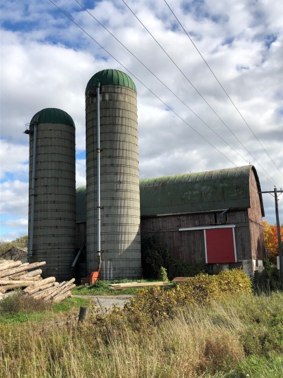 Blog Photo - Bowmanville Fall Drive - Silos and Barn with red door