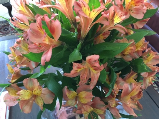 Blog Photo - Flowers Orange
