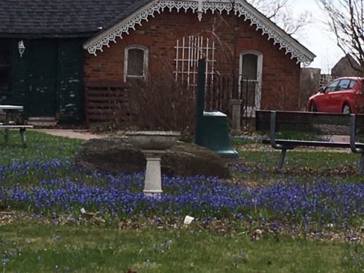 Blog Photo - Bowmanville House in Spring - with Blue Scilla lawn
