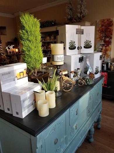 Blog Photo - the Willow Branch display of succulents and candles etc